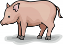 Pig Clipart