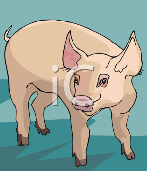 Pig Clipart