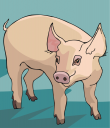 Pig Clipart