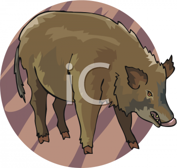 Pig Clipart