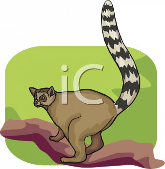 Lemur Clipart