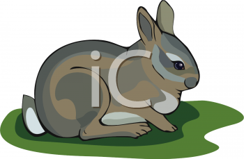 Rabbit Clipart