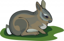 Rabbit Clipart