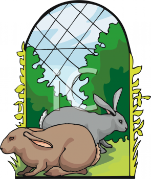 Rabbit Clipart