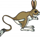 Rabbit Clipart