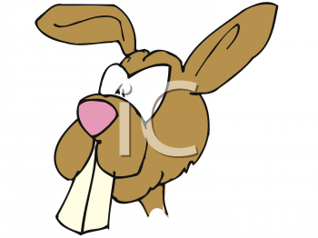 Rabbit Clipart