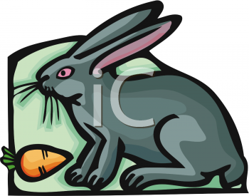 Rabbit Clipart