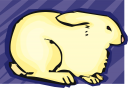 Rabbit Clipart