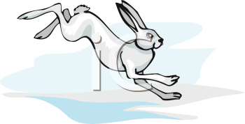 Rabbit Clipart