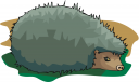 Hedgehog Clipart