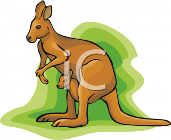 Kangaroo Clipart