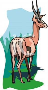 Gazelle Clipart