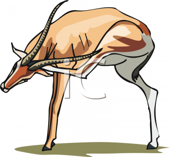 Gazelle Clipart