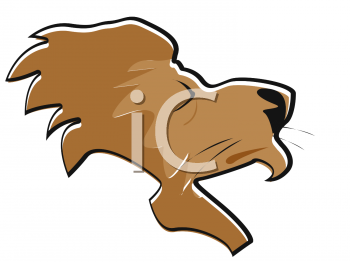 Lion Clipart