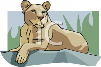 Lion Clipart