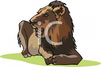 Lion Clipart