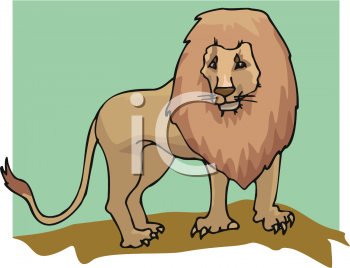 Lion Clipart