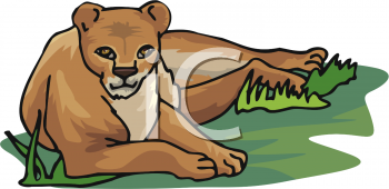 Lion Clipart