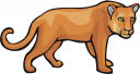 Lion Clipart