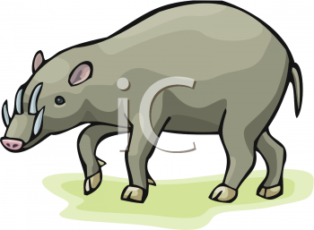 Pig Clipart