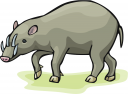 Pig Clipart