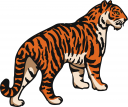 Tiger Clipart