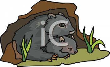 Wombat Clipart