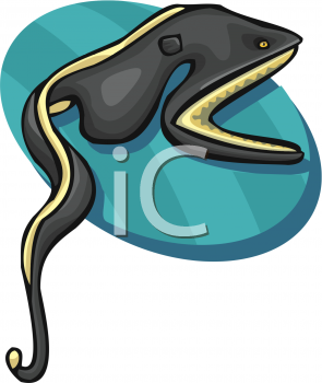 Eel Clipart