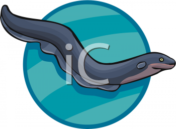 Eel Clipart