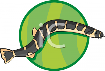 Royalty Free Eel Clipart