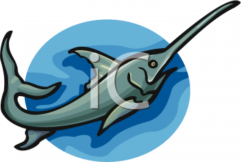 Swordfish Clipart