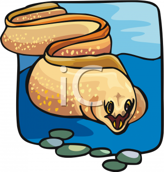 Eel Clipart