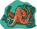 Octopus Clipart