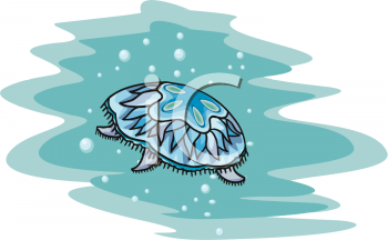 Sea Urchin Clipart