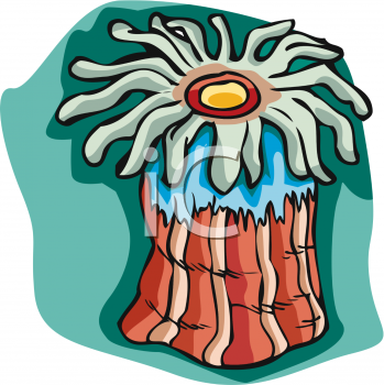 Sea Urchin Clipart