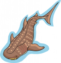 Shark Clipart