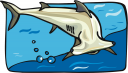 Shark Clipart