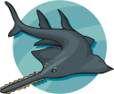 Shark Clipart