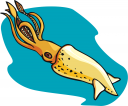 Squid Clipart