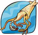 Squid Clipart