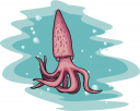 Squid Clipart