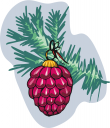 Christmas Decorations Clipart