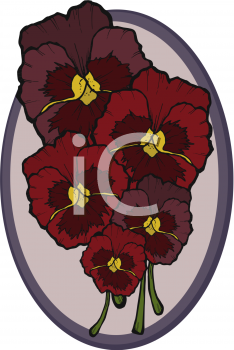 Pansy Clipart