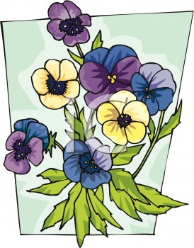 Pansy Clipart