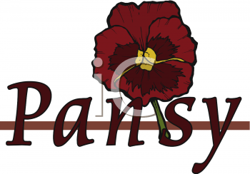 Pansy Clipart