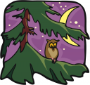 Owl Clipart