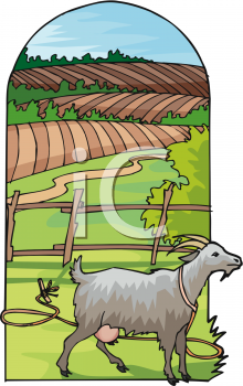 Goat Clipart