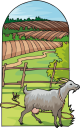 Goat Clipart