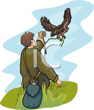 Falcon Clipart