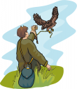 Falcon Clipart